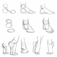 an image of foot and ankle drawing