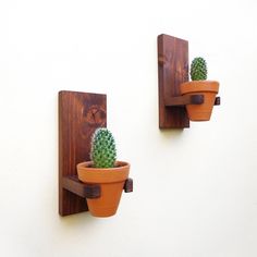 two potted plants are placed on the wall with wooden brackets attached to each other