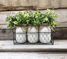 three white mason jars with green plants in them sitting on a wooden bench next to a fence