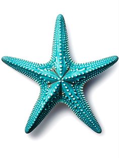 a blue starfish on a white background