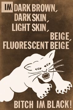 a poster with an image of a cat and the words, i'm dark brown, dark skin, light skin, light skin