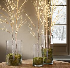 three vases with trees in them on a table