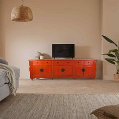 a living room with an orange cabinet and large potted plant on the sideboard