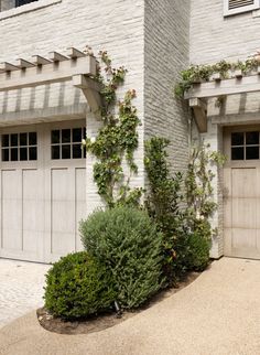 two garages with plants growing on the side of them