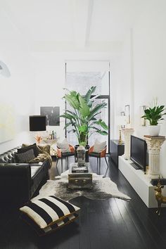 a living room filled with furniture and a large plant in the middle of the room