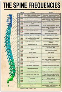 Spine Frequencies, Medical Wall Art, Hospital Decor, Chronic Tiredness, Bathroom Garden, Outer Ear, Head Cold, Middle Ear, High Definition Pictures