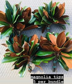 there are many different types of flowers on the table with text that reads magnolia tips 5 per bundle