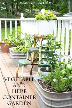 several potted plants on a deck with the words vegetable and herb container garden above them