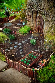 a fairy garden with lots of plants and rocks in the ground next to a tree