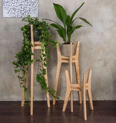 three wooden chairs with plants in them on the floor next to a plant potted