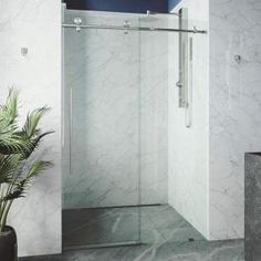 a bathroom with a glass shower door next to a potted plant