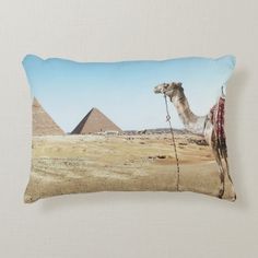 a camel in the desert with two pyramids behind it pillow shampooing on a white wall