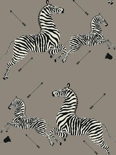 Scalamandre Zebras - Removable Grey Wallpaper Zebra Wallpaper, Red Backdrop, Iconic Wallpaper, Zebra Design, Zebras Animal, Blue Backdrops, Wallpaper Rolls, Blue Vinyl, Peel Stick Wallpaper