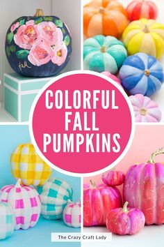 colorful fall pumpkins are featured in this collage