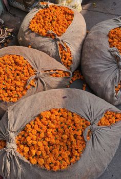 bags filled with orange flowers sitting on the ground