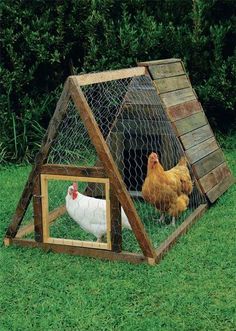 a chicken coop with two chickens in it