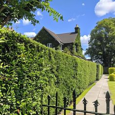 a house is shown behind a hedge lined path in front of a black fence and gate