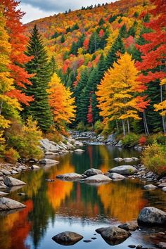 a river surrounded by lots of colorful trees