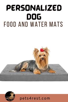 #dogmat #Mat #outdoordogmat #PetCrateMat #Best Dog Cooling  #Smallpetbed #Mediumdogbed #PetCrateMat #DirtyDogDoormat #DogDoormat  #dogmat #Mat #outdoordogmat #PetCrateMat #Best Dog Cooling  #Smallpetbed #Mediumdogbed #PetCrateMat #DirtyDogDoormat #DogDoormat  #dogmat #Mat #outdoordogmat #PetCrateMat #Best Dog Cooling  #Smallpetbed #Mediumdogbed #PetCrateMat #DirtyDogDoormat #DogDoormat  #dogmat #Mat #outdoordogmat #PetCrateMat #Best Dog Cooling  #Smallpetbed #Mediumdogbed #PetCrateMat Water Mat