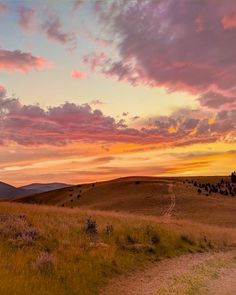 the sun is setting over an open field with cattle grazing in the distance and hills behind it