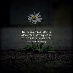 a white flower sitting on the ground with a quote about being afraid to someone else