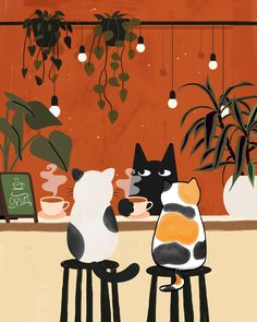 two cats sitting on stools looking at each other