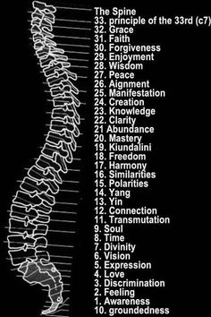 Organs In The Body, Reiki Cura, Chakra Points, Pranic Healing, Endocannabinoid System, Energy Medicine, Body Organs