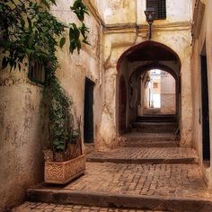 an alley way with steps and potted plants on either side, leading up to the second floor