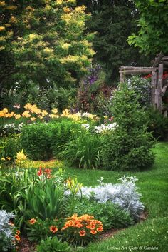 a garden filled with lots of different types of flowers