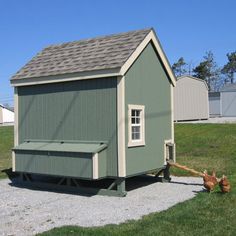 a small gray shed with a chicken on a leash next to it and another building in the background