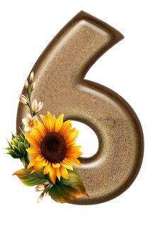 the number six with a sunflower and leaves on it's side is shown