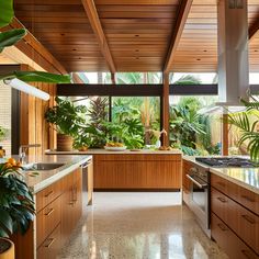 a kitchen with wooden cabinets and lots of plants