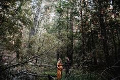 a pregnant woman standing in the woods with her husband