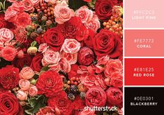 the color scheme is red and pink, with roses in different colors on each side