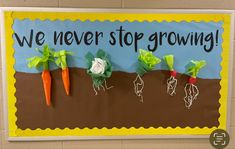 a bulletin board with carrots and lettuce growing in the soil that says, we never stop growing