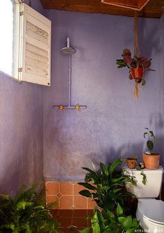 a bathroom with purple walls and potted plants