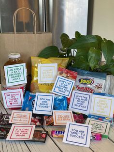 there are many cards on the table next to some bags and a potted plant