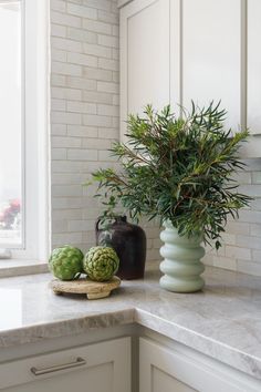 two vases with plants in them sitting on a kitchen counter