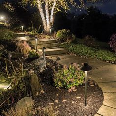 a pathway lit up at night with steps leading to trees and bushes in the background