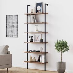 a living room filled with furniture and a potted plant on top of a wooden shelf