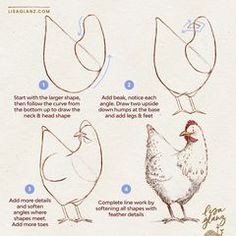 how to draw chickens step by step instructions for beginners with pictures and text below