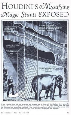 an advertisement for the magic stunts expo is shown in black and white, with pictures of elephants