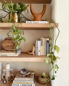 some books and plants are sitting on the shelves