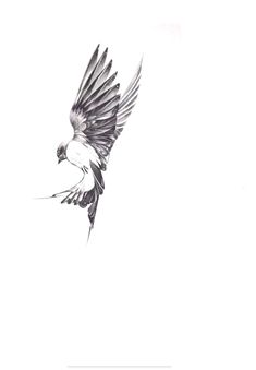 a drawing of a bird flying in the sky