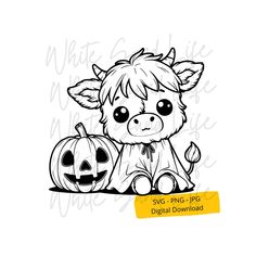 a cute little cow sitting next to a pumpkin