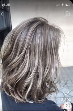 Biolage Highlights For Grey Hair, Dark Hair Going Gray Highlights, Grey Blending Dark Blonde, Gunmetal Hair Color, Natural Grey With Lowlights, Dark Blonde And Gray Hair, Gray Highlights On Light Brown Hair, Ash Beige Hair Highlights, Natural Grey Hair With Lowlights