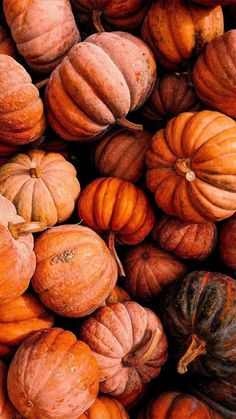 a pile of pumpkins sitting next to each other