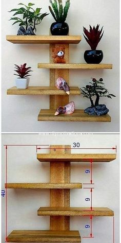 two shelves with plants and rocks on them