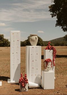 three tall white vases sitting on top of boxes in the middle of a field