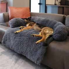 a dog laying on top of a gray couch